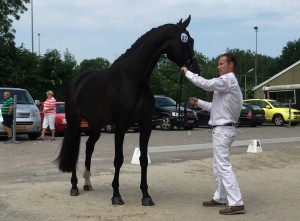 IPSIAMII(STAMBOEKKEURING JUNI2016)